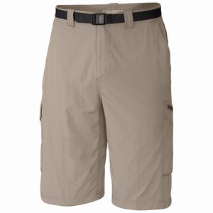 Columbia Silver Ridge™ Cargo Short Herr Grå (JGBVY2837)